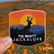 iron on embroidery patches